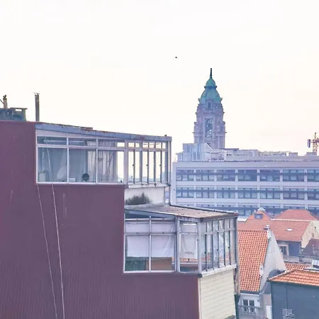 Ninho 424 Oporto